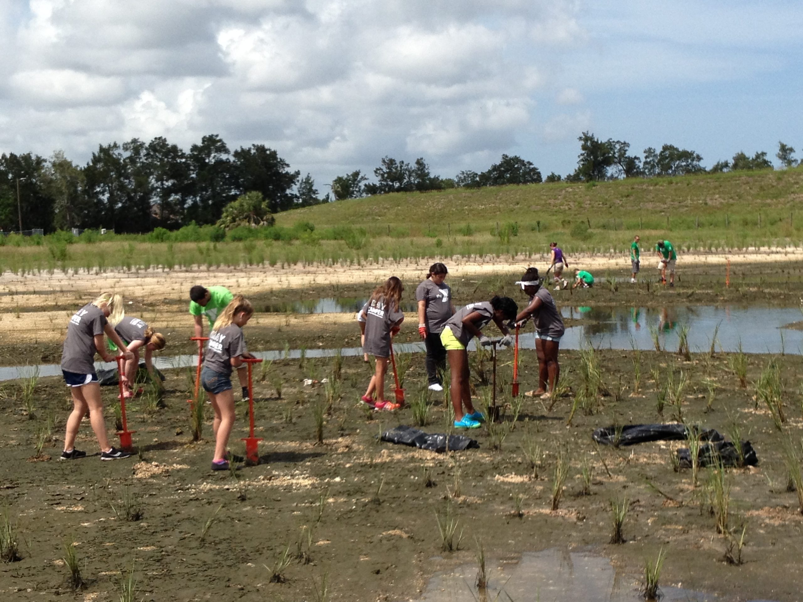 volunteers help protect wetlands