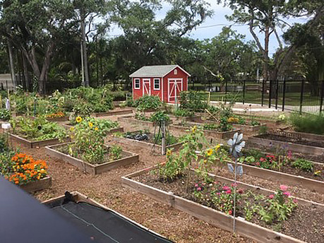community gardens promote food access