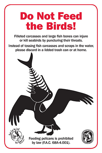 Do not feed the birds - keep wildlife safe