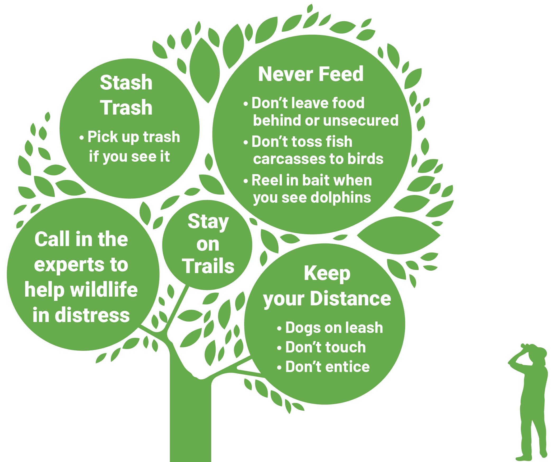 Tips for keeping wildlife safe