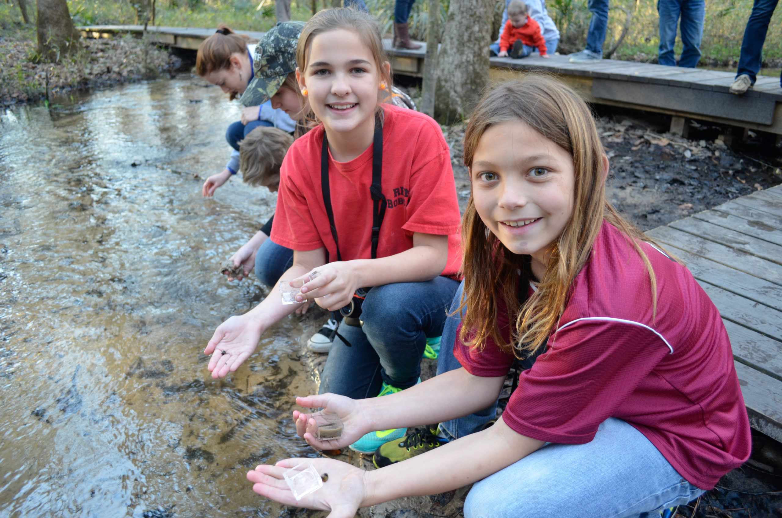 kids finding critters in a stream
