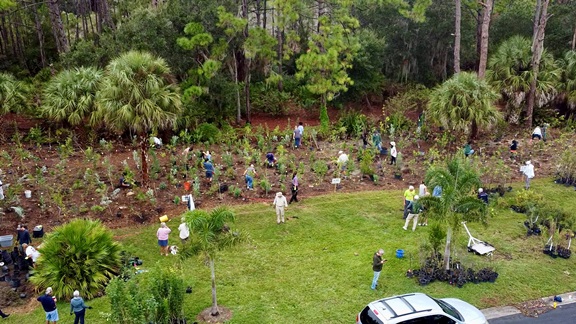 Dozens of neighbors planting a vacant lot with a microforest of trees and shrubs.